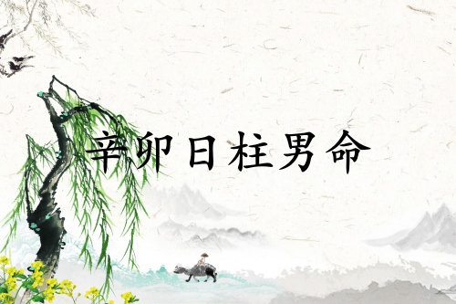 辛卯日柱男命運詳解