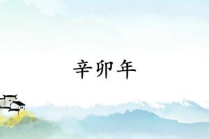 辛卯年是哪一年屬什么生肖