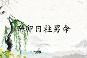 辛卯日柱男命運(yùn)詳解