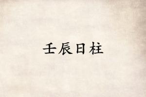 壬辰日柱三命通會精論詳解