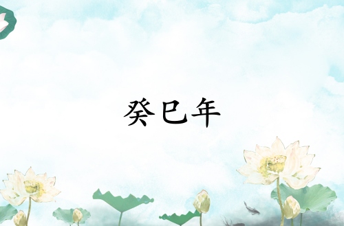 癸巳年是哪一年屬什么生肖