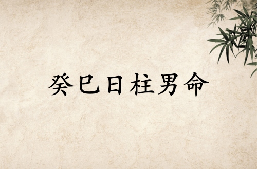 癸巳日柱男命運(yùn)詳解