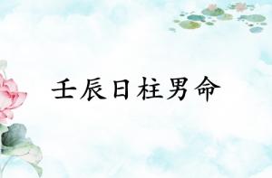 壬辰日柱男命運(yùn)詳解