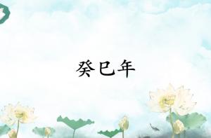 癸巳年是哪一年屬什么生肖