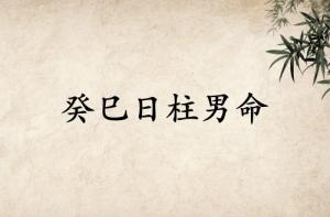 癸巳日柱男命運(yùn)詳解