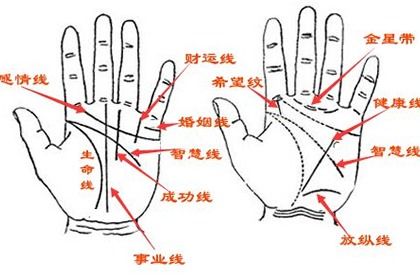 手相怎么看出女人有多少個男人