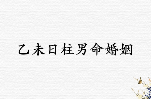 乙未日柱男命婚姻運(yùn)勢解析