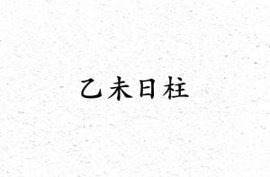 乙未日柱三命通會精論詳解