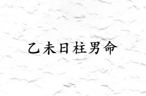 乙未日柱男命運(yùn)詳解