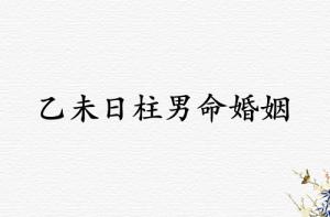乙未日柱男命婚姻運(yùn)勢(shì)解析