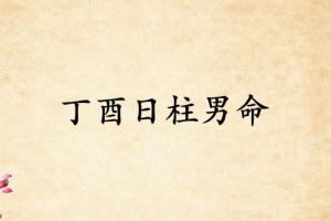 丁酉日柱男命運(yùn)詳解