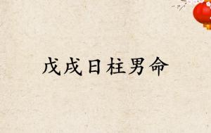 戊戌日柱男命運(yùn)詳解