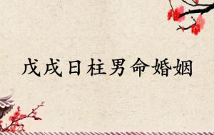 戊戌日柱男命婚姻運(yùn)勢(shì)如何
