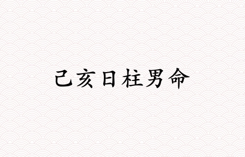 己亥日柱男命運詳解