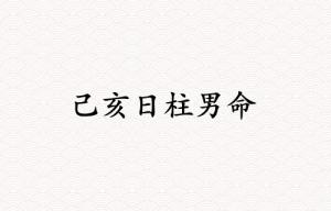 己亥日柱男命運(yùn)詳解