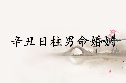 辛丑日柱男命婚姻詳解