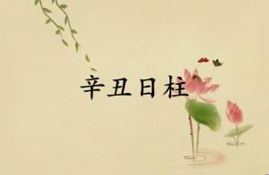 辛丑日柱三命通會精論詳解