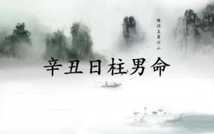 辛丑日柱男命運詳解