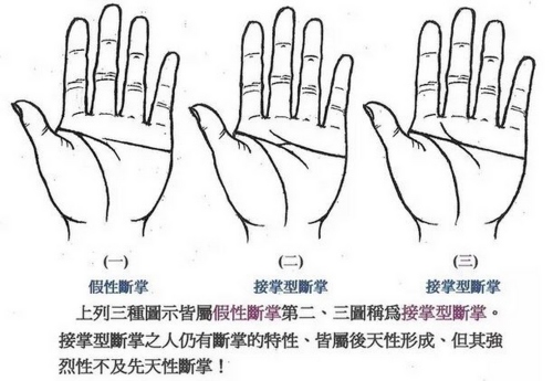 感情線與智慧線相連但又不是斷掌