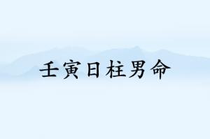 壬寅日柱男命運詳解