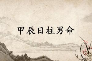 甲辰日柱男命運詳解