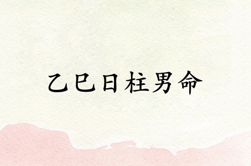 乙巳日柱男命運(yùn)詳解