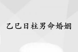 乙巳日柱男命婚姻怎么樣