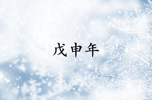 戊申年是哪一年屬什么生肖