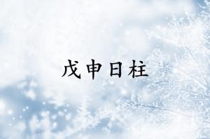 戊申日柱三命通會(huì)精論解析