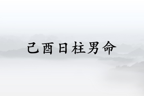己酉日柱男命運詳解