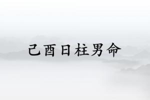 己酉日柱男命運(yùn)詳解