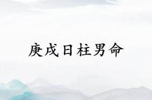 庚戌日柱男命終身命運(yùn)