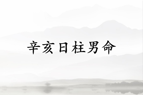 辛亥日柱男命運詳解