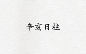 辛亥日柱三命通會(huì)精論解析