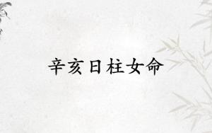 辛亥日柱女命一生詳解