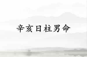 辛亥日柱男命運(yùn)詳解