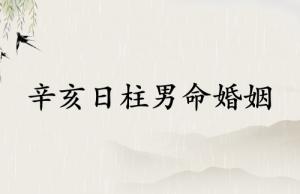 辛亥日柱男命婚姻走勢(shì)