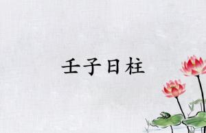 壬子日柱三命通會(huì)精論解析