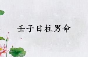 壬子日柱男命運(yùn)詳解