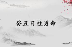 癸丑日柱男命運(yùn)詳解