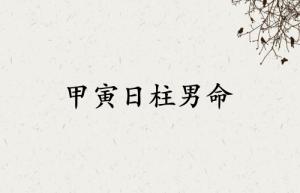 甲寅日柱男命運(yùn)詳解