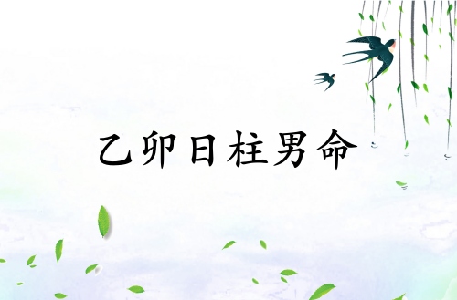 乙卯日柱男命運詳解