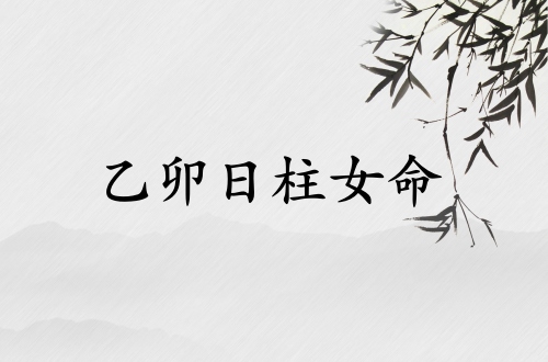 乙卯日柱女命運詳解