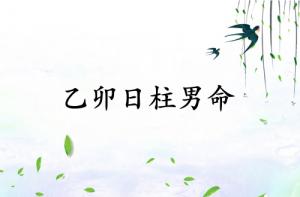 乙卯日柱男命運(yùn)詳解