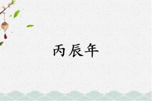 丙辰年是哪一年屬什么生肖