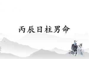 丙辰日柱男命運詳解