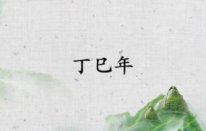 丁巳年是哪一年屬什么生肖