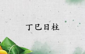 丁巳日柱三命精論詳解大全