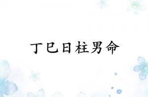 丁巳日柱男命運詳解