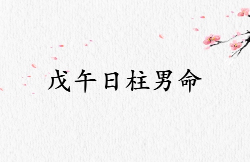 戊午日柱男命運詳解